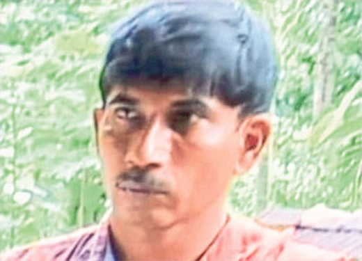 Man falls from cocunut tree 
